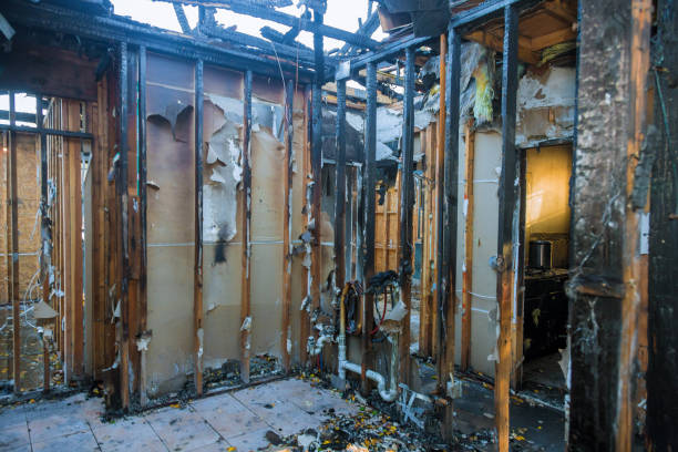 Professional Smoke Damage Removal technician working in Leesburg, VA